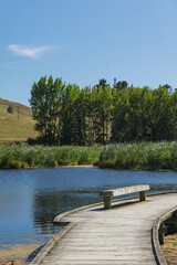 ニュージーランド　ホークス・ベイ地方にある湿地保護区のペカペカ・リージョナルパーク