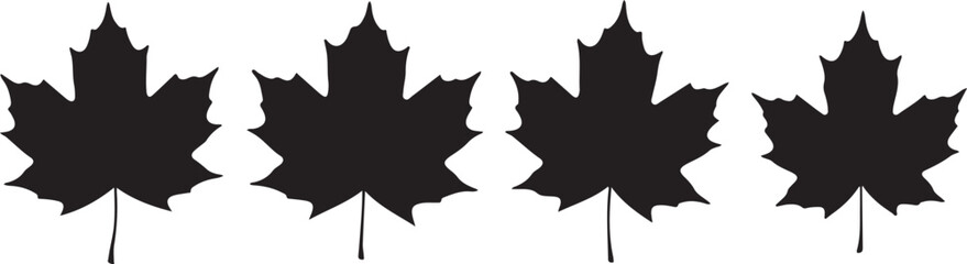 Maple Leaf Silhouettes Arranged in a Row for Autumn or Canada Themed Designs Isolated on white background