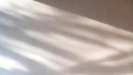 Minimal Startup Pitch Deck Presentation Background