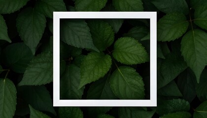 Minimalist white square frame overlaying lush green foliage background