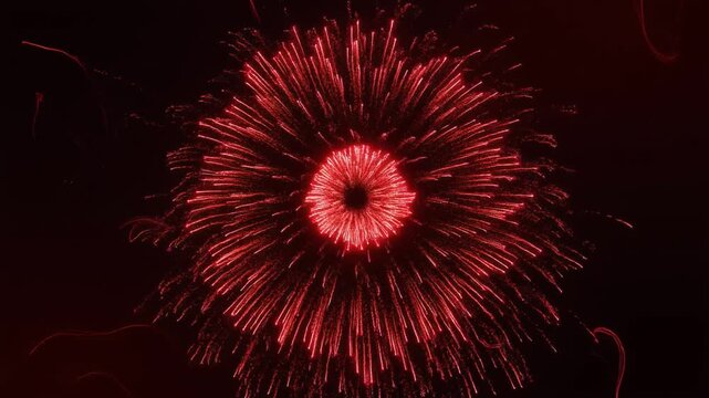 Red Fireworks Exploding in Night Sky Celebration explosion