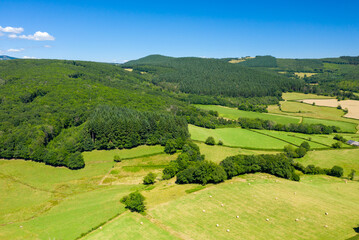 Obraz premium Aerial view of vibrant green hills and dense forests interspersed with geometric fields and scattered hay bales in the Morvan countryside on a clear summer day.