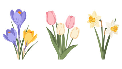 Spring Flower Collection Crocus Tulips and Daffodils in Bloom 1.