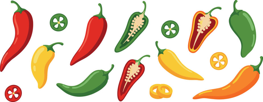Colorful chili pepper vector set with sliced hot peppers and spicy vegetable elements flat illustration isolated on white background