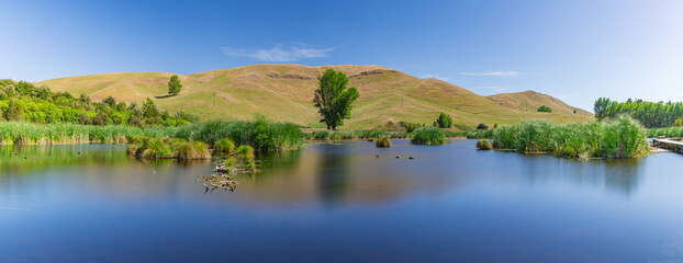 ニュージーランド　ホークス・ベイ地方にある湿地保護区のペカペカ・リージョナルパーク