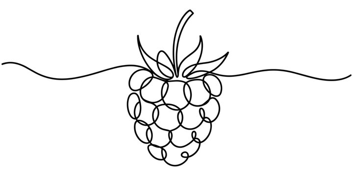 raspberry berry is drawn by one continuous line on a background of abstract spots of crimson and green colour on a white background, Raspberry vector colour illustration, background.