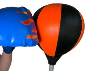 Boxing Kids Floor Punching Bag and Boxing Gloves