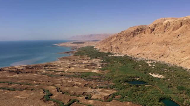 Aerial Drone Ein Feshkha Dead Sea Oasis Israel

Drone aerial view of Ein Fashkha oasis Dead Sea coastline 1.1.2026 Israel
