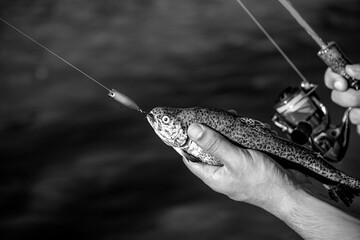 Trout fish. Fisherman hand holding fishing rod with reel. Fishing reel. Black and white