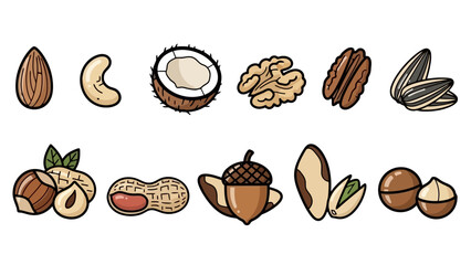 A collection of various nuts and seeds, including almonds, cashews, coconuts, walnuts, pecans, sunflower seeds, hazelnuts, peanuts, acorns, pistachios, and macadamia nuts. © gita
