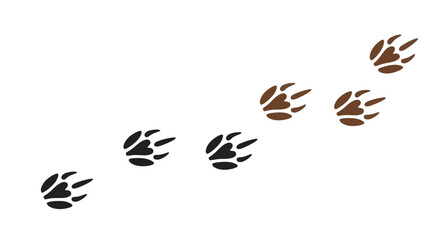 Illustration of animal paw prints in black and brown, showing a trail of tracks moving diagonally upwards. © gita