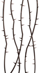 Thorn vines background for stories. Wild prickly vines isolated
