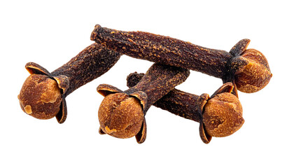 Close-up of dried, fragrant spice clusters, showing their distinctive bud-like heads and textured stems against a dark background