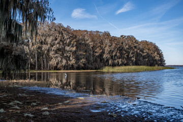 palm point park, newnans lake, alachua county, florida