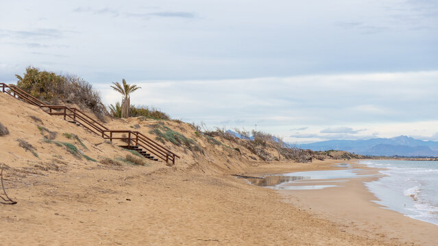 A dramatic beach near Guardamar del Segura, Alicante, Spain, with eroded dunes, fallen twisted trees, and exposed roots reflected in shallow water, part of Parque Alfonso XIII
