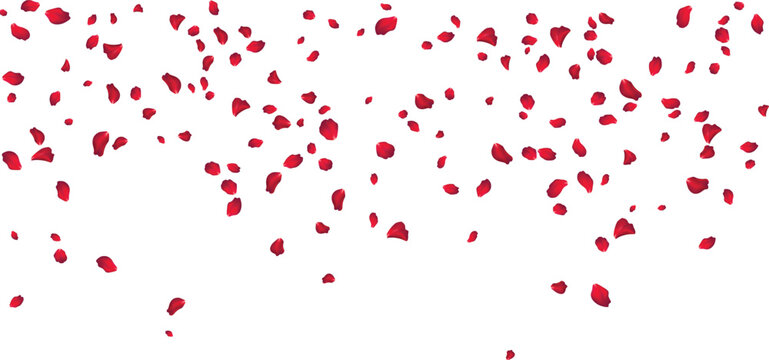 Velvet red rose petals overlay texture for fashion editorials and magazine covers