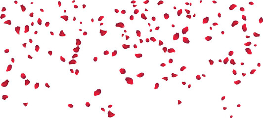 Cascading red rose petals illustration for dramatic theater posters and playbills © MdFuyad
