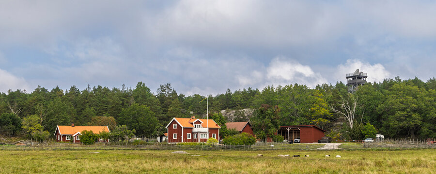 Typical red Swedisch farmhouse with animals in front at east coast of Sweden