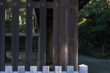 日本の神社：神聖な森林と建築物と参道（神宮・鳥居）
