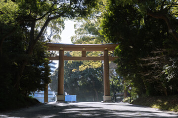 日本の神社：神聖な森林と建築物と参道（神宮・鳥居）