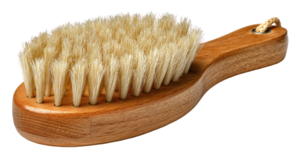 A clean wooden brush with natural bristles and a smooth handle isolated on a white background as a professional tool for painting and housework