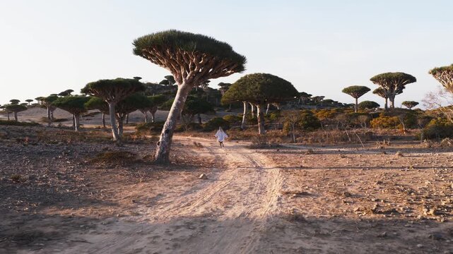 A solitary figure walking down a dirt road on Socotra Island, Yemen, under a late afternoon sun