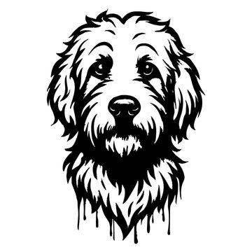 Goldendoodle Dog Face &ndash; Dripping yorkshire Dog &ndash; Black and White dog head