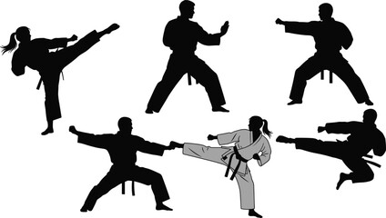 Karate martial arts silhouette set showing fighters performing kicks and punches in dynamic combat poses isolated on white background for training, sport, defense design use © Rokeya