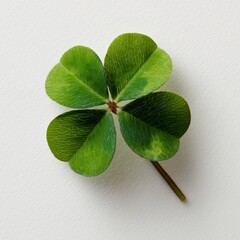 Vibrant Four-Leaf Clover on White Background