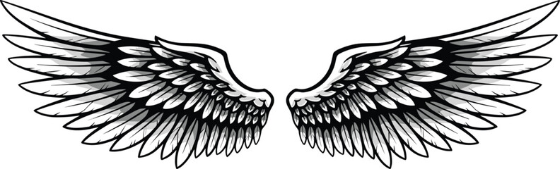 Black and white of symmetrical angel wings with feathers