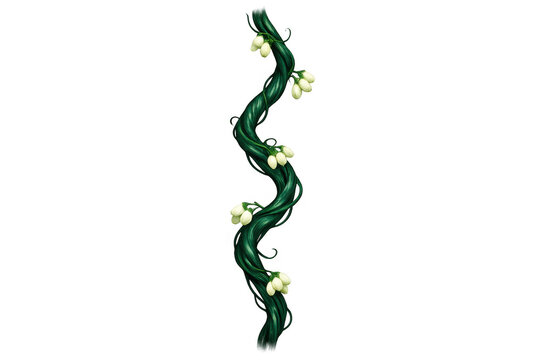 Magic beanstalk with glowing seeds growing upward, a fantasy vine creating a whimsical plant stem, transparent background