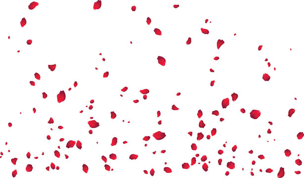 Falling red rose petals rain background for valentine day cards