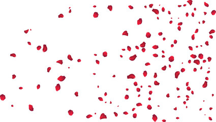 Scattered red rose petals overlay for wedding photography editing