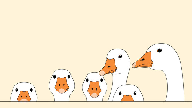 Group of white geese looking over a line on a cream background with their heads turned in different directions in a clean minimalist style.