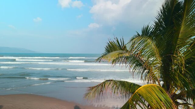 Palm tree fronds framing a tropical beach landscape with rolling ocean waves under a vibrant blue sky, highlighting a tranquil summer vacation and travel destination in da nang, vietnam