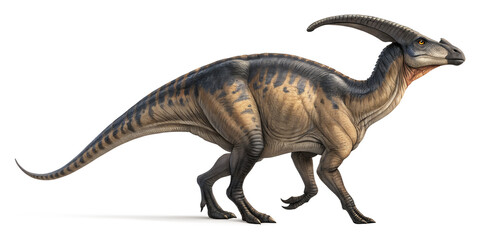Fototapeta premium Dinosaur illustration isolated on transparent background