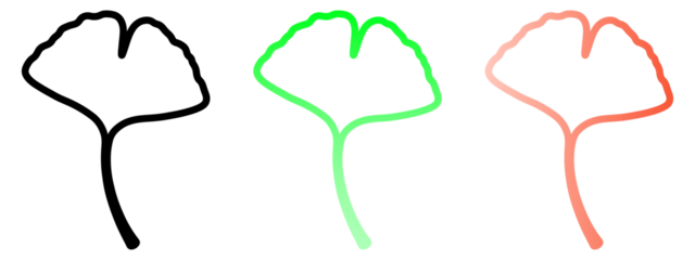 Ginkgo Biloba Leaf Outlines Set Versatile Vector Graphics in Multiple Colors for Design