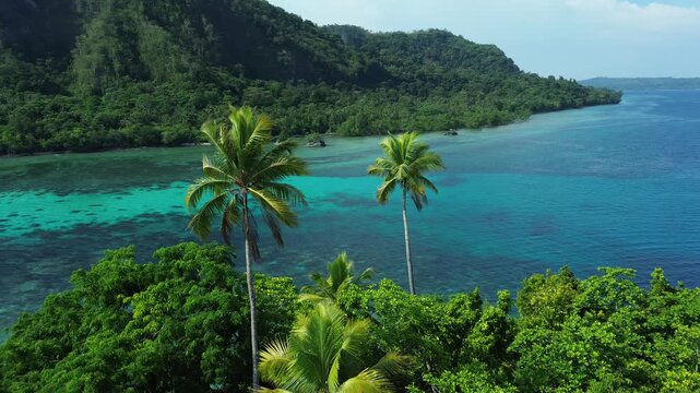 Aerial turning shot above coconut trees showing coral reef and distant island in Banda Sea, Indonesia.