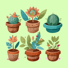 Fototapeta premium Assorted cactus and succulent species in decorative earthenware pots for desert style home interior and modern office decor