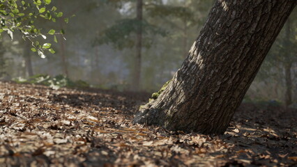 Fototapeta premium leaning oak trunk on leafstrewn floor showing textured bark, scattered brown leaves, subtle moss growth, soft dappled sunlight and distant blurred trees,