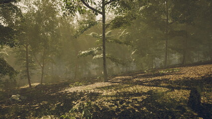 Frozen valley with mountain ridges and mist, Cinematic scene of cold valley at dawn with icy waters and jagged mountains surrounding violet sky © icetray