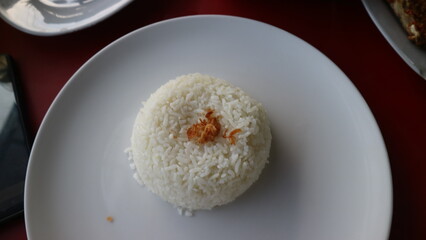 Steamed White Rice with Fried Shallots on White Plate in Close-Up