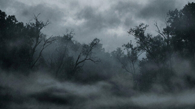 Dark, gloomy forest with thick fog. Eerie atmospheric woods with bare tree branches. Mysterious natural landscape with copy space
