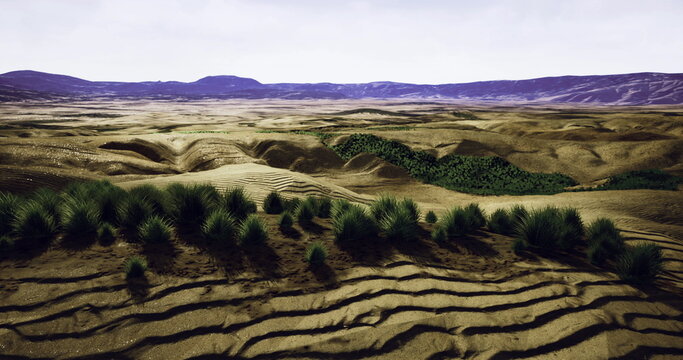 Rolling hills create a textured landscape under twilight sky. Sparse vegetation lines the horizon, contrasting with the vast dry terrain and distant mountains. The ambiance is tranquil and serene.