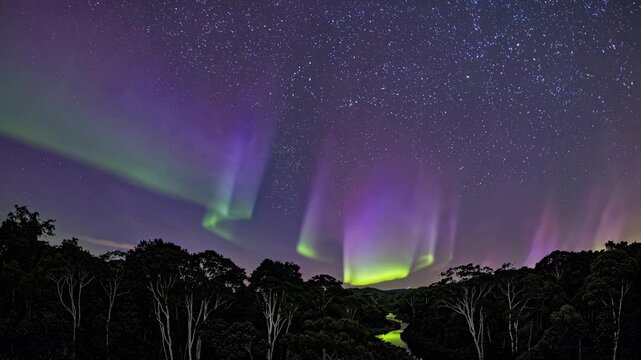 A wide-angle shot captures vibrant auroras over a forested landscape, resembling a surreal video scene with colorful lights dancing in the night sky.