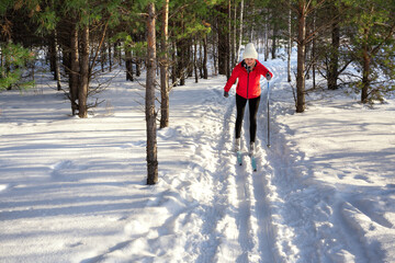 Woman skiing in  winter forest