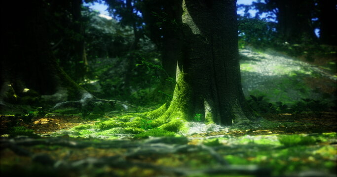 closeup moss wrapping tree root surface with spongy texture and damp tones, detailed microecosystem view for botanical, science, and texture background needs
