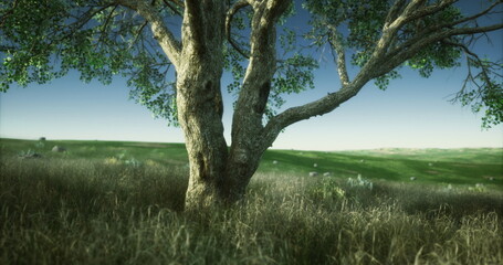 Birch tree rooted in green meadow, gentle slope with distant valley, white peeling bark and swaying leaves, soft breeze and warm light create mindful retreat