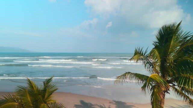 Da nang beach with palm trees framing the scene, ocean waves gently breaking on the golden sand, and a vast blue sky creating a serene tropical landscape perfect for vacations