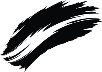 Vector illustration of eagle and black and white feather